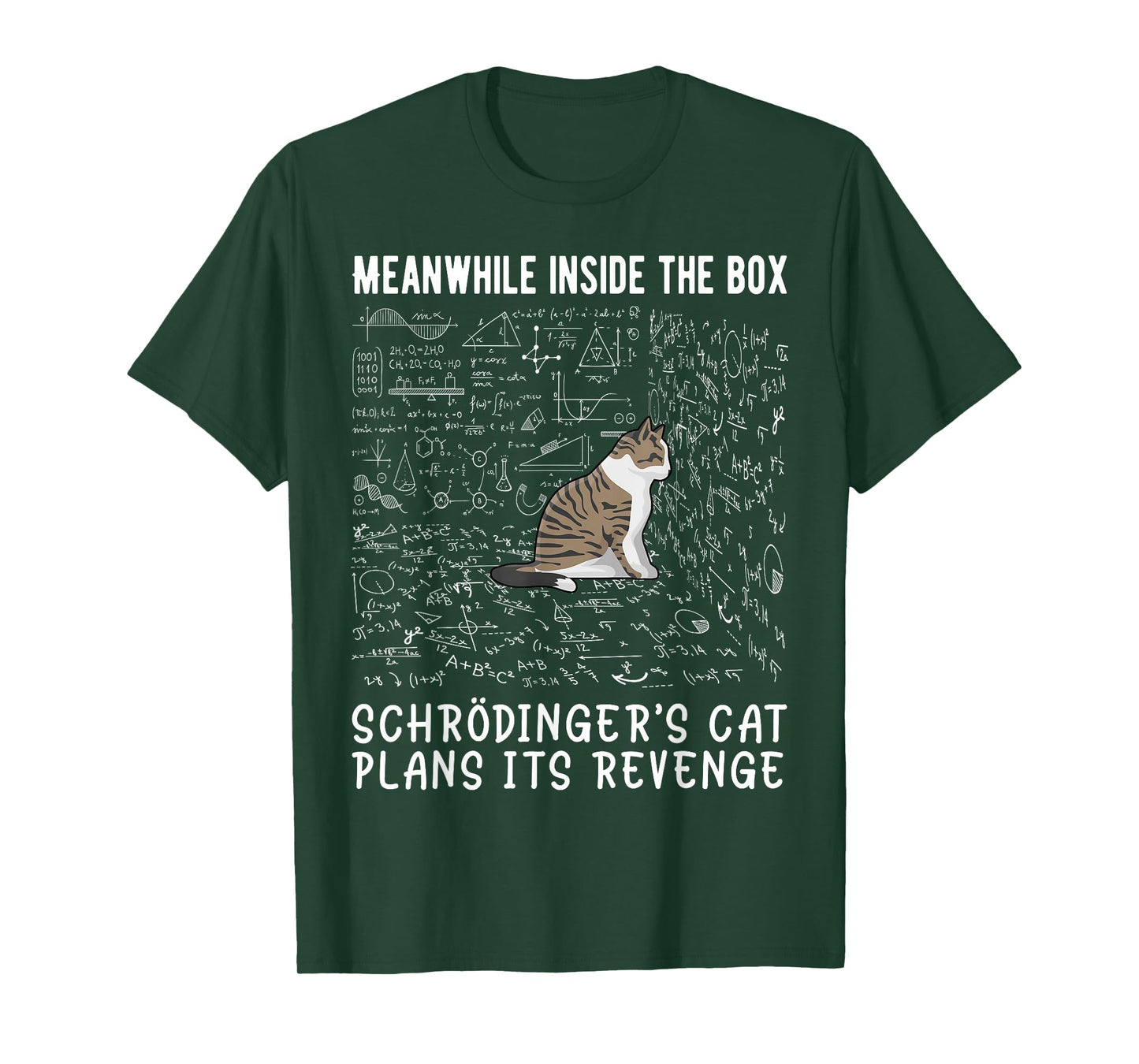 Meanwhile Inside The Box Schrödingers cat Plans its Revenge T-Shirt
