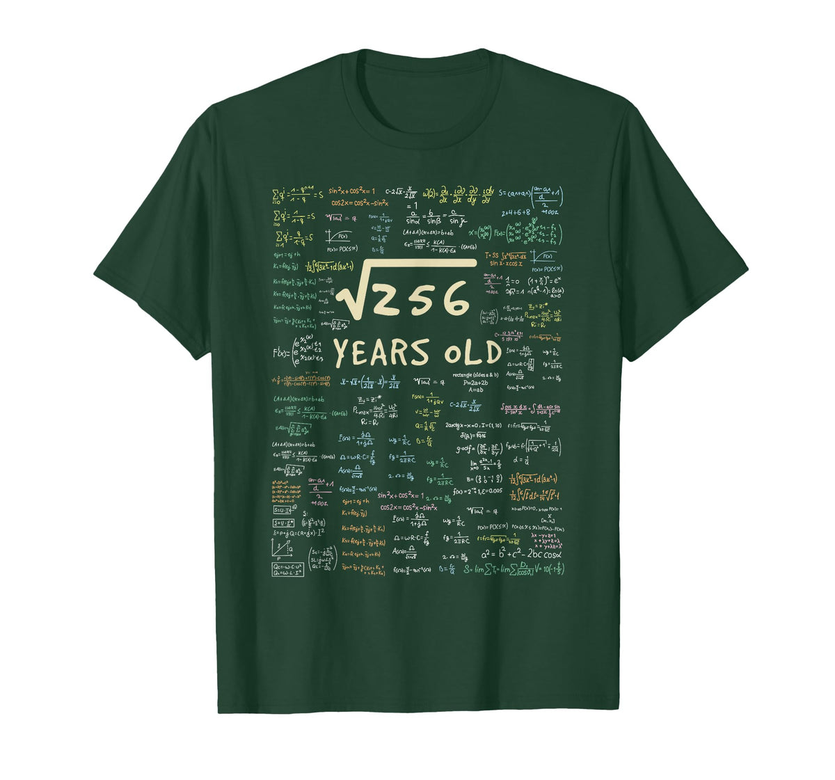 Maths Birthday Gift - 16 Years Formula 16 Birthday T-Shirt