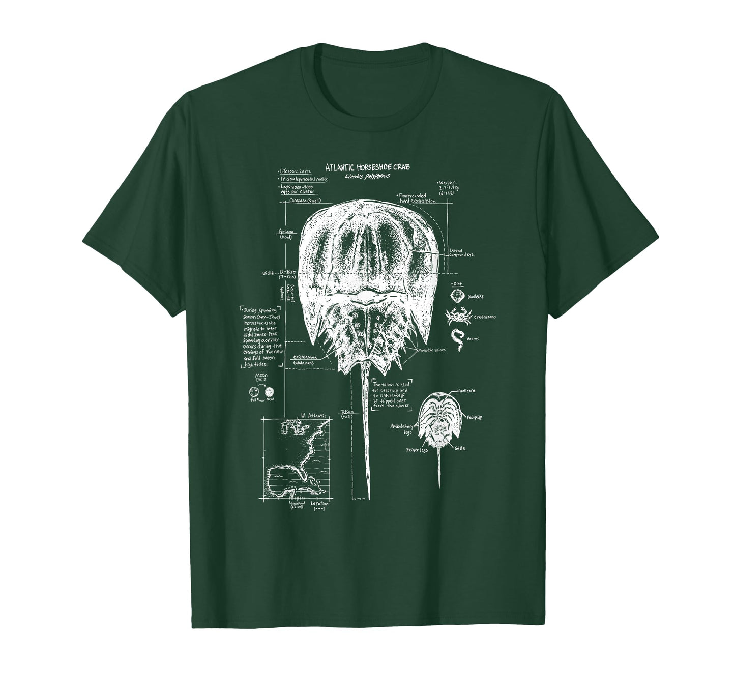 Atlantic Horseshoe Crab Anatomy Marine Biology Ocean Animal T-Shirt