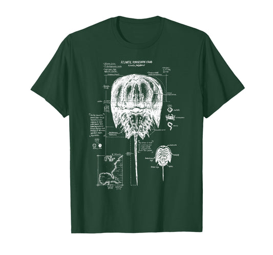 Atlantic Horseshoe Crab Anatomy Marine Biology Ocean Animal T-Shirt