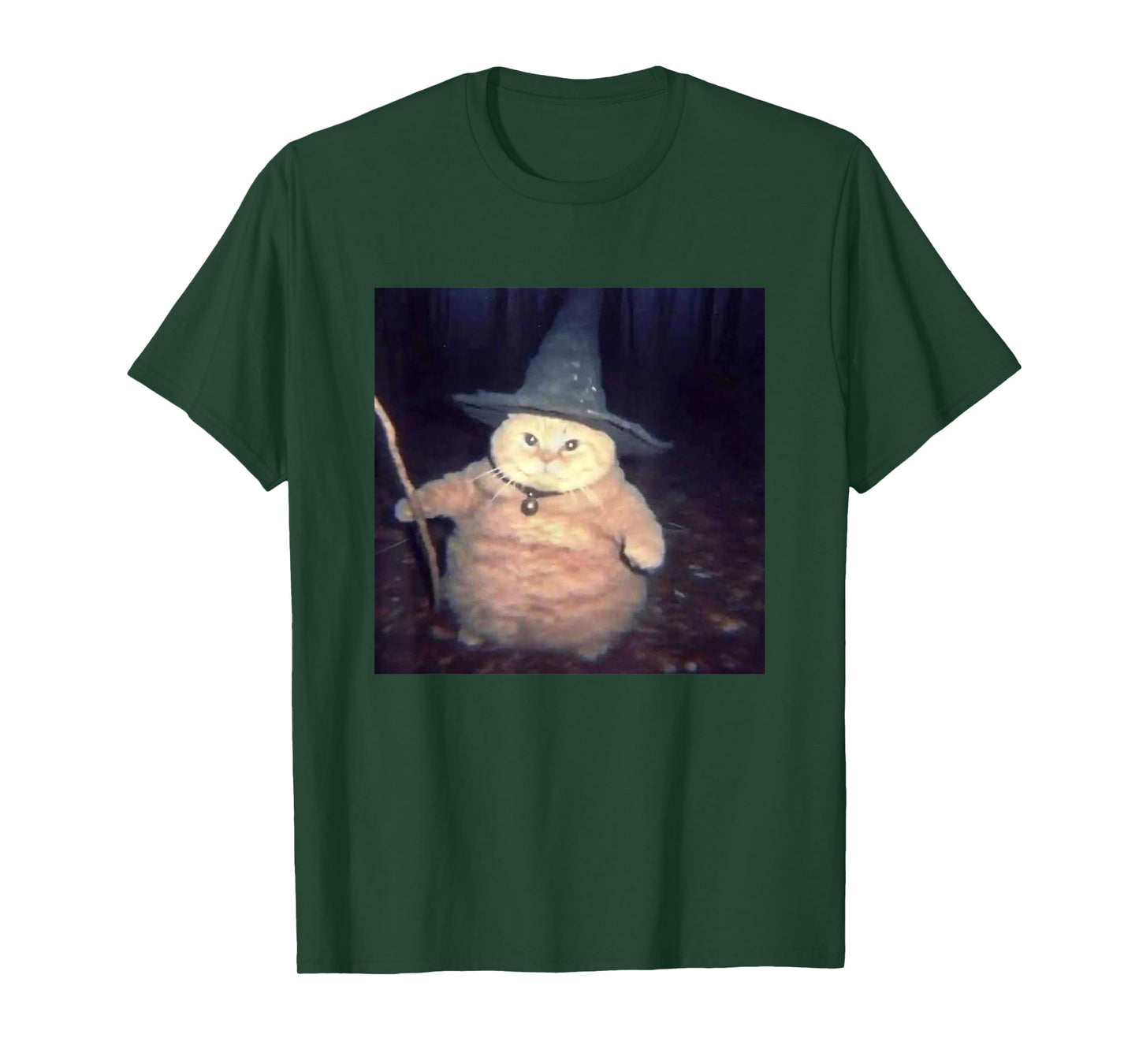 Vintage Witch Cat Peekaboo Halloween Funny Cat Meme Weird T-Shirt