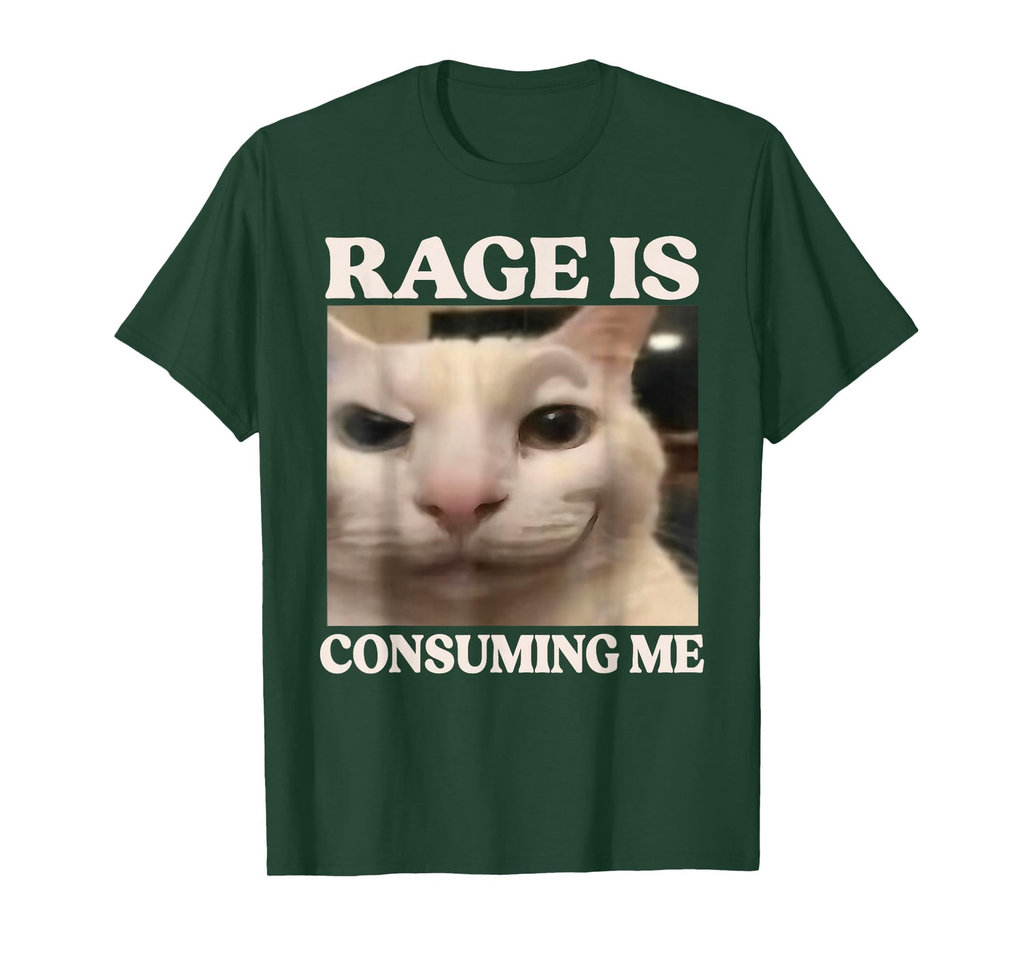Rage is Consuming Me Cat Silly Cat Meme Rage Consumes Me T-Shirt