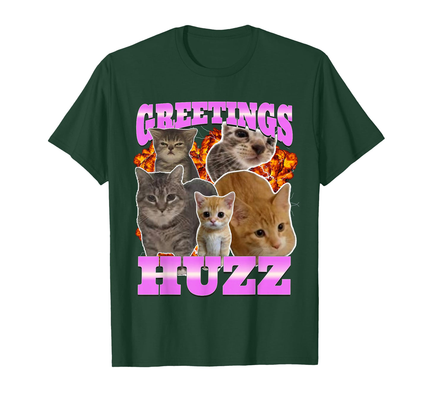 Greetings Huzz Cat Meme Funny Bootleg Graphic T-Shirt