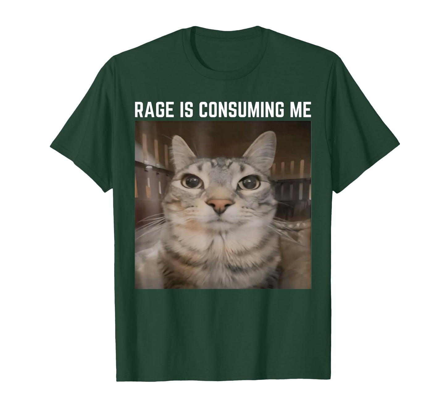 Rage is Consuming Me Meme Cat Meme Oddly Specific Memes Joke T-Shirt