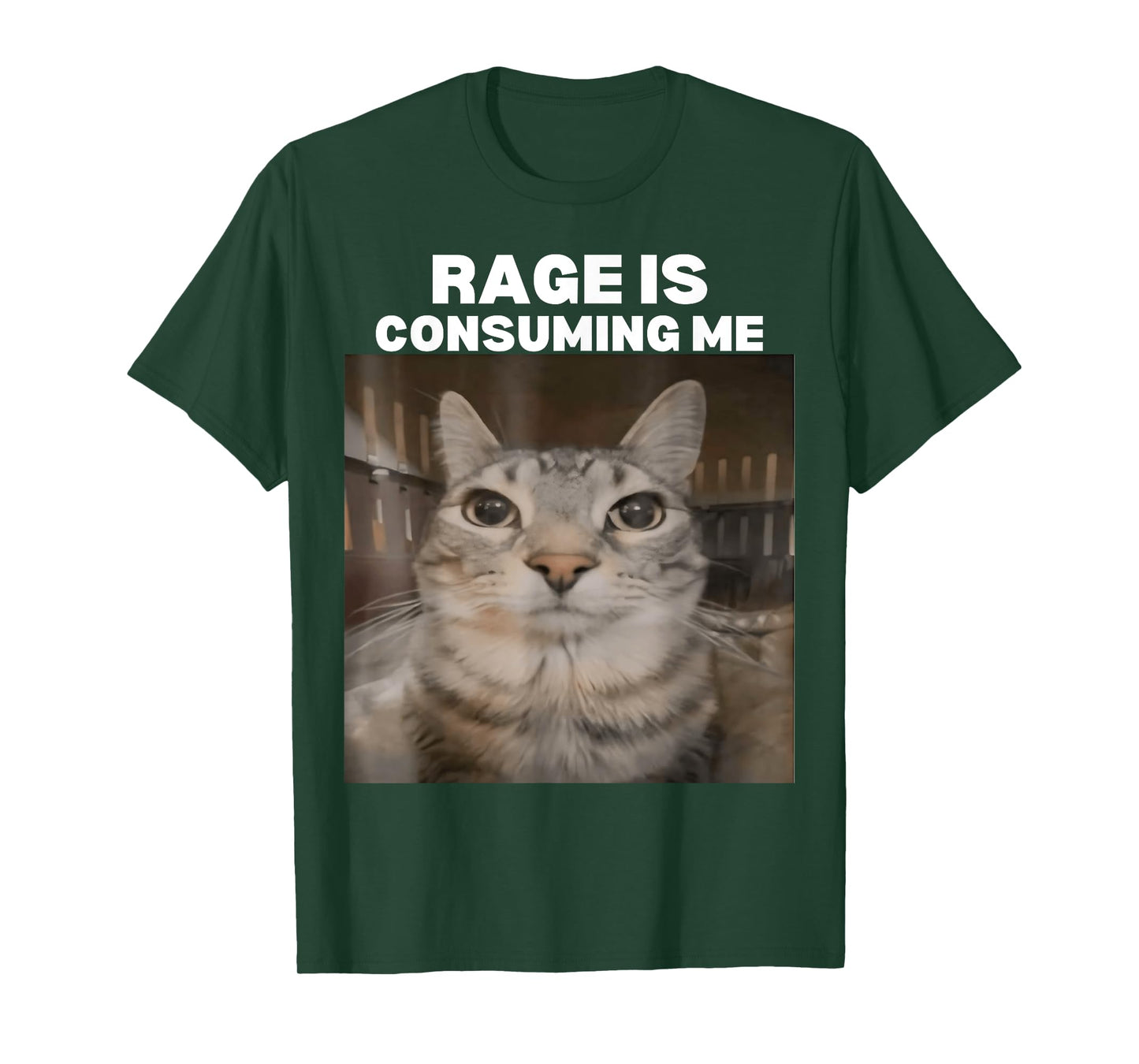 Rage Is Consuming Me Meme Cat Meme Internet Memes Funny Meme T-Shirt