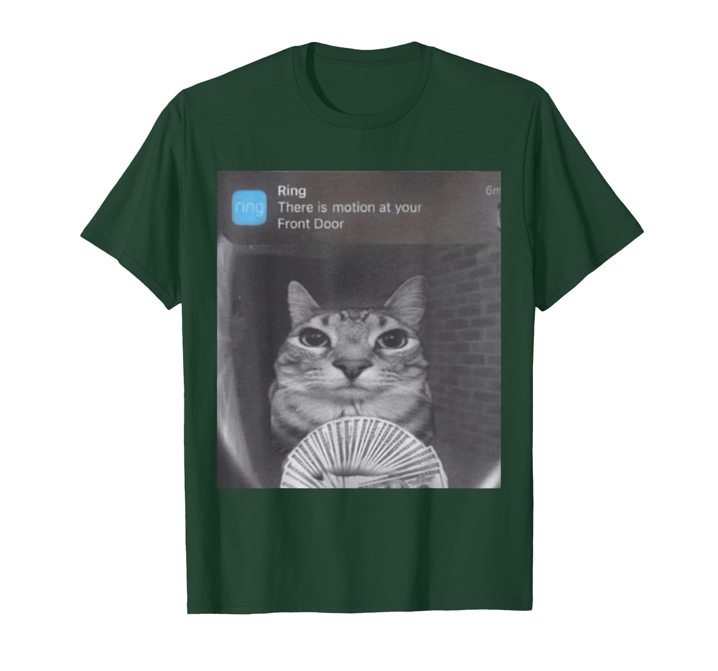 Ring There is Motion at Your Front Door T-Shirt