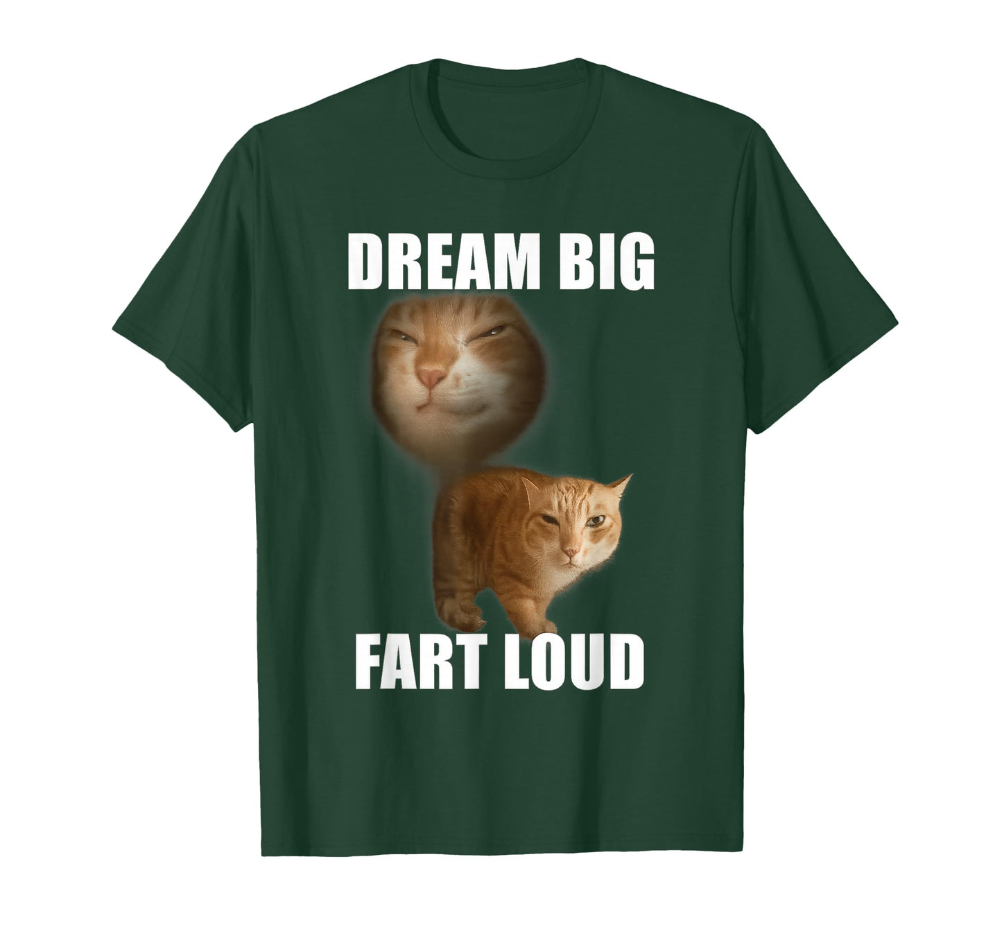 Dream big fart loud funny cat meme T-Shirt