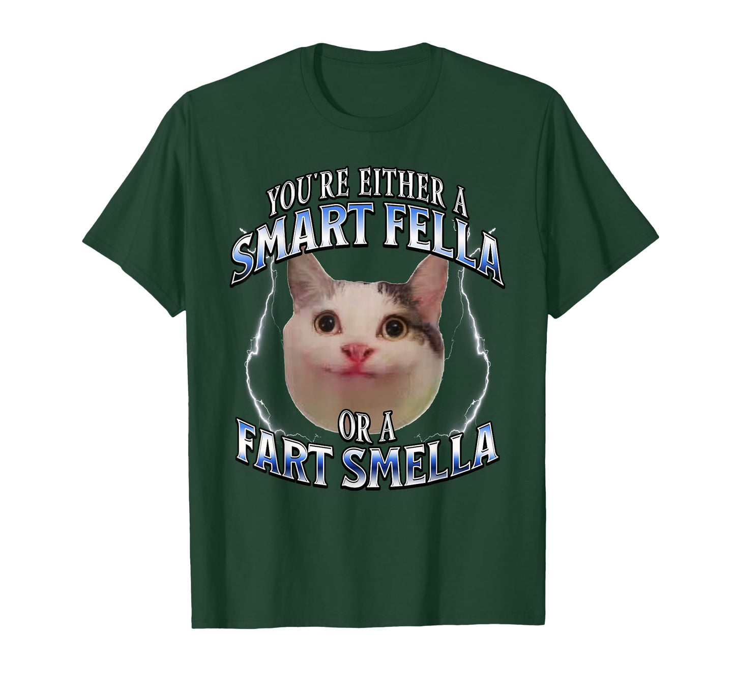 funny cat meme you're either a smart fella or a fart smella T-Shirt for Men Women Kids