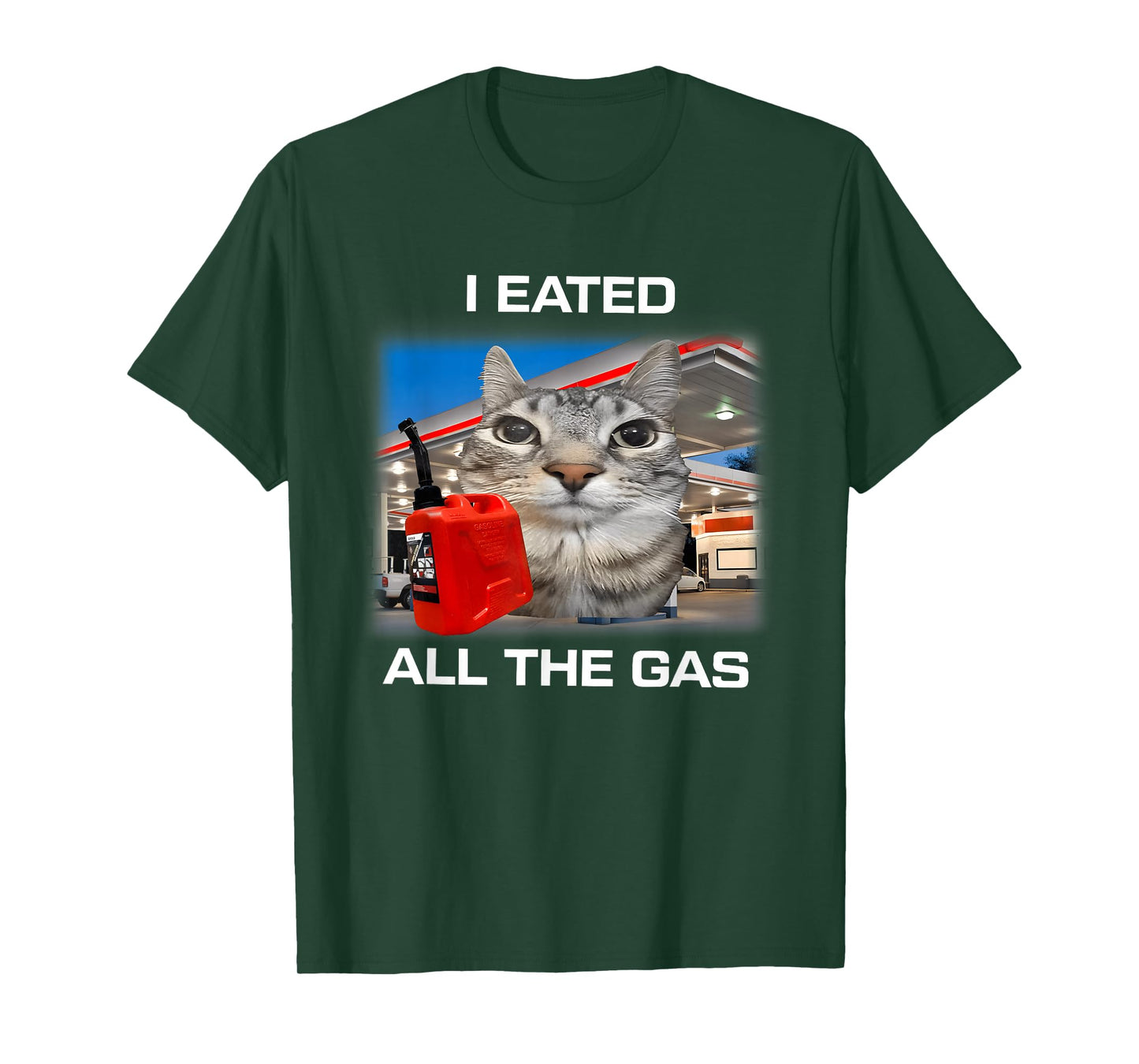 I Eated All The Gas Cat Meme Gen Z Humor Y2k Kitten Meme T-Shirt