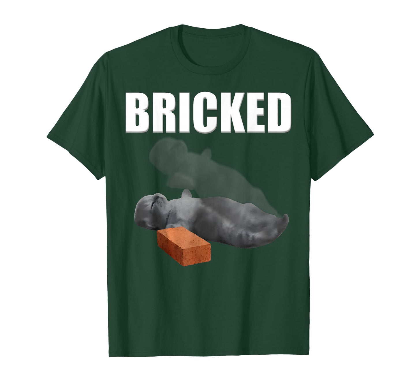 Bricked Funny Cat Knocked Out Brick Cat Meme Silly Weird T-Shirt