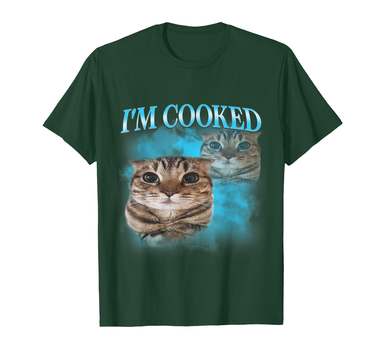 I'm Cooked Funny Gen Z Gen Alpha Silly Cat Meme Vintage T-Shirt