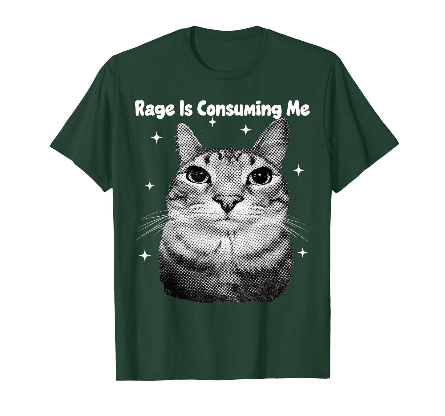 Y2K Cat Rage is Consuming Me Silly Staring Cat Meme Silly T-Shirt