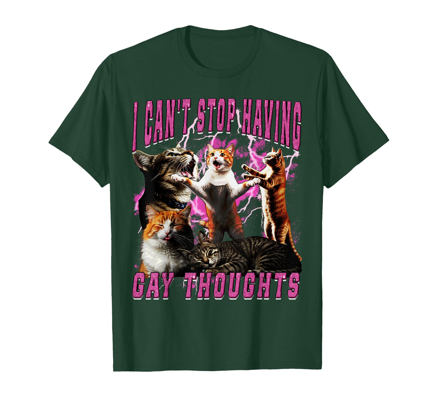 I Can't Stop Having Gay Thoughts Funny Cat Meme Bootleg T-Shirt