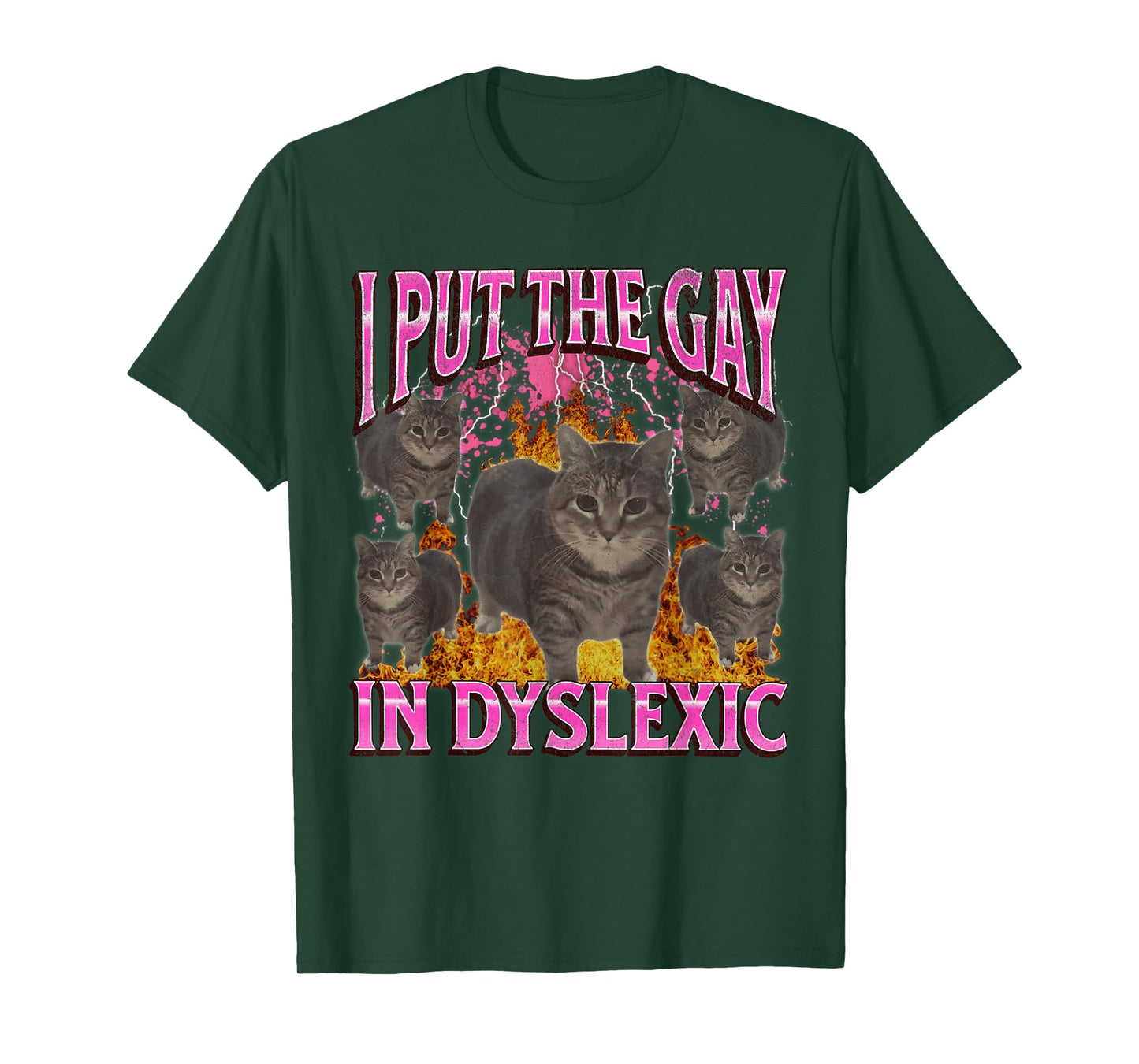 I Put The Gay In Dyslexic Funny Cat Meme Bootleg Graphic T-Shirt