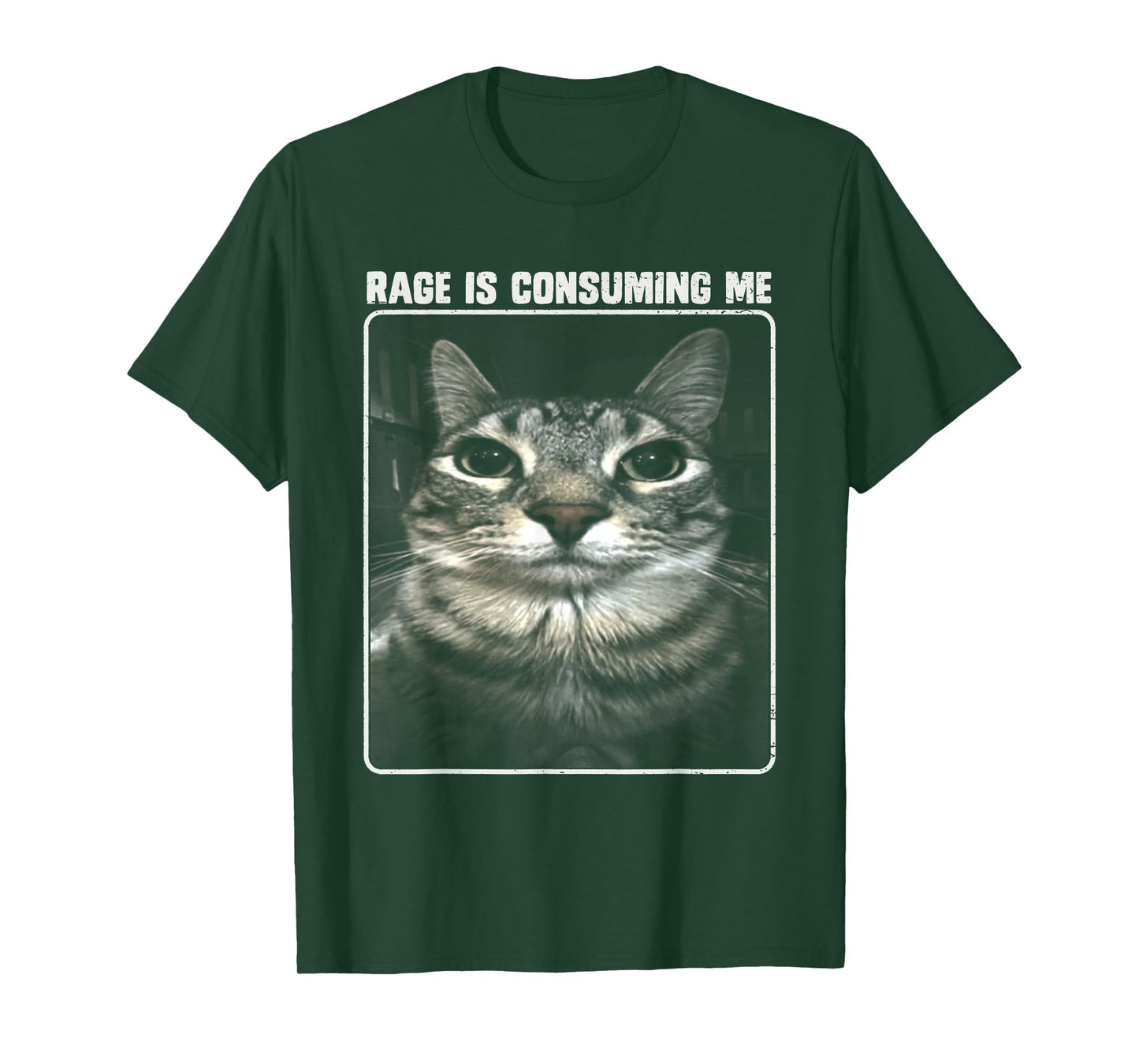 Rage Is Consuming Me Meme Silly Cat T-Shirt for Men Women Girls Kids