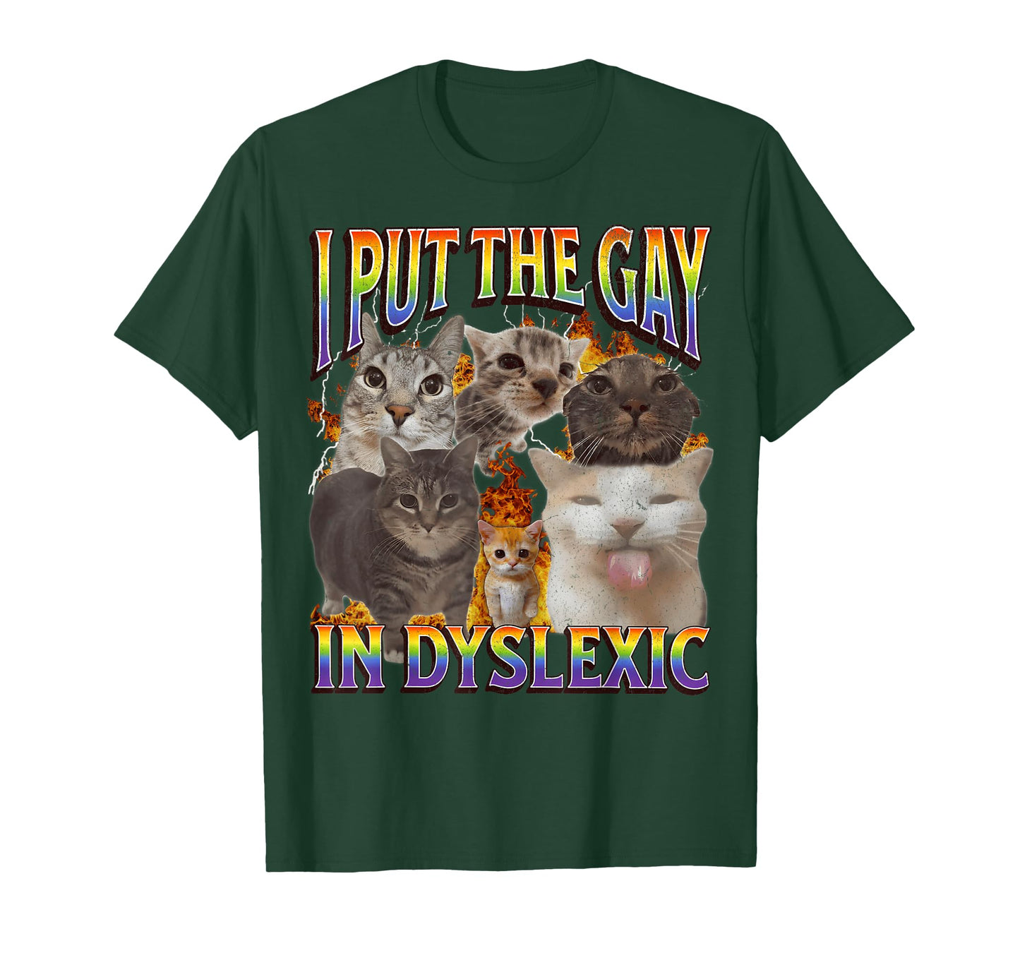 I Put The Gay in Dyslexic Funny Cat Meme Bootleg Funny Retro T-Shirt