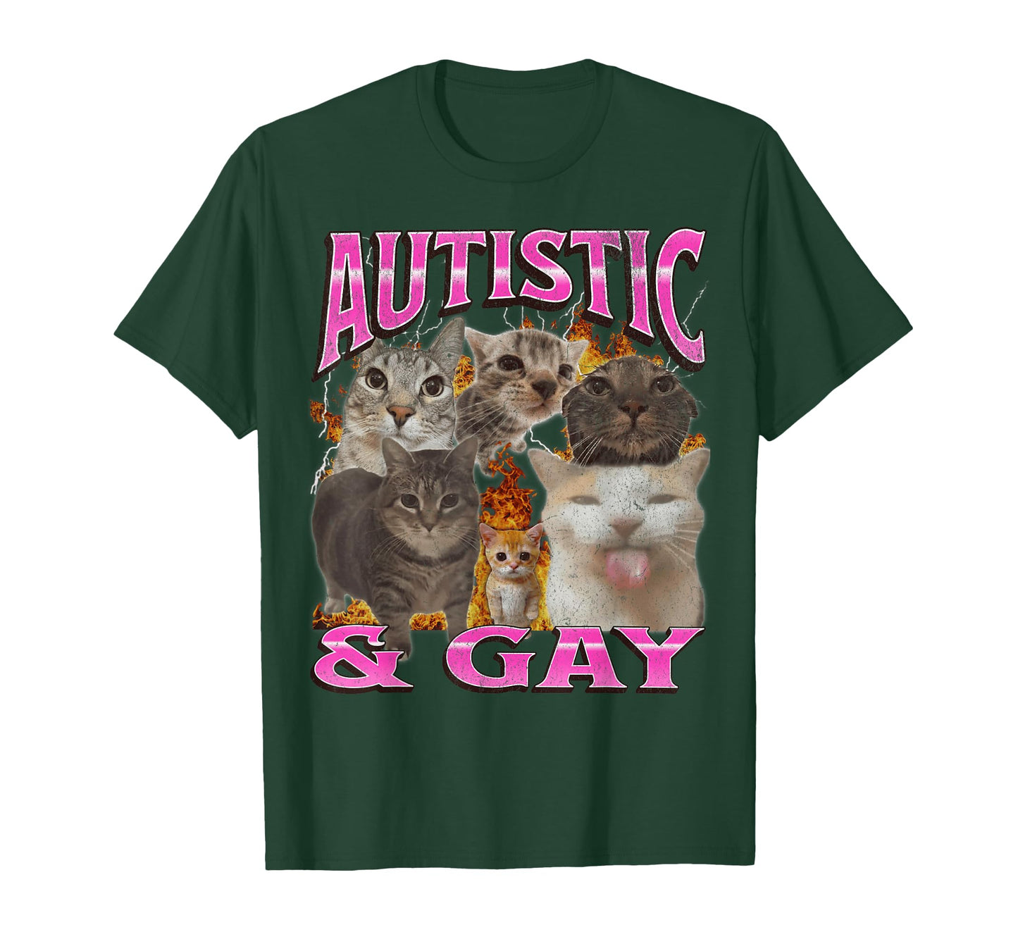 Autistic and Gay Funny Cat Meme Bootleg Graphic T-Shirt for Men Women