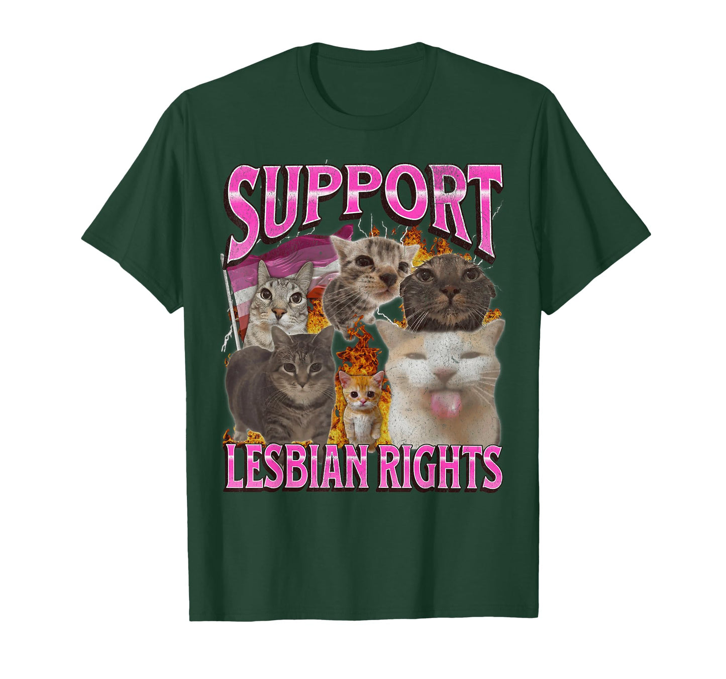 Support Lesbian Rights Funny Gay Cat Meme Bootleg Graphic T-Shirt for Men Women