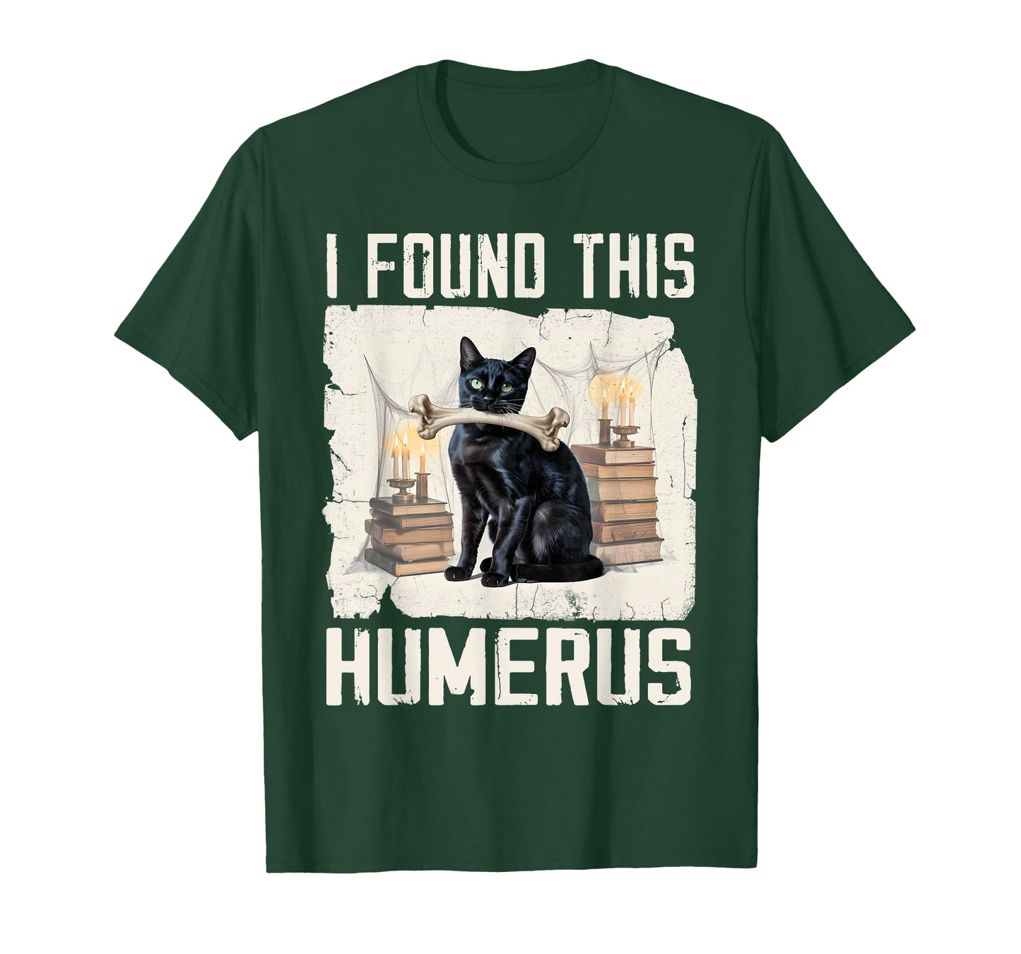 I Found This Humerus Vintage Funny Scary Black Cat Halloween T-Shirt