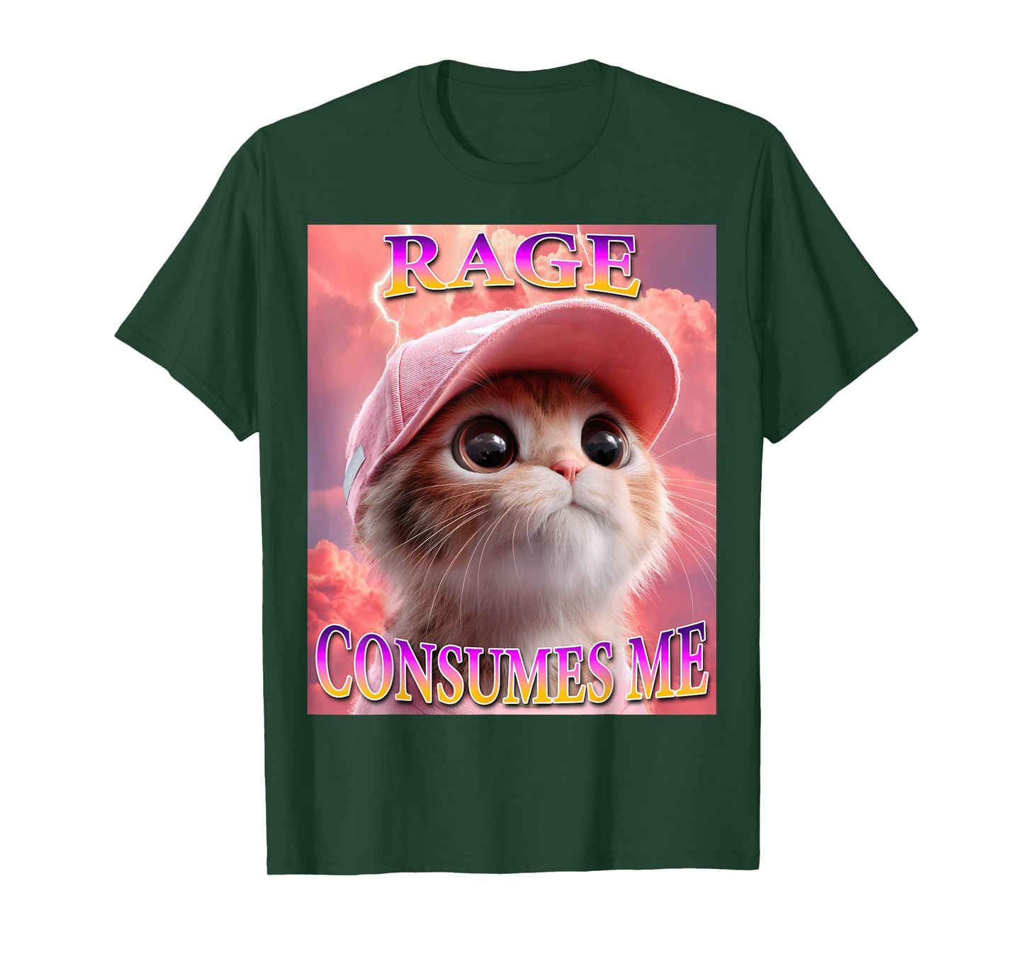 Rage Consumes Me Funny Cat Meme T-Shirt
