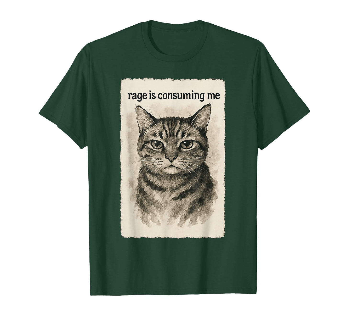 Rage is Consuming Me Funny Silly Staring Cat Meme Sumi-e T-Shirt