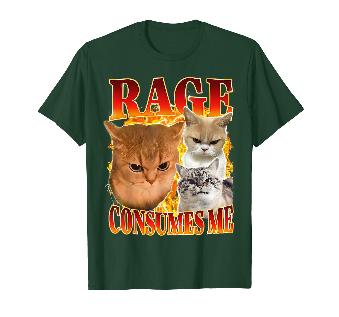 Rage Consumes Me Silly Cat Funny Meme Humor Saying T-Shirt