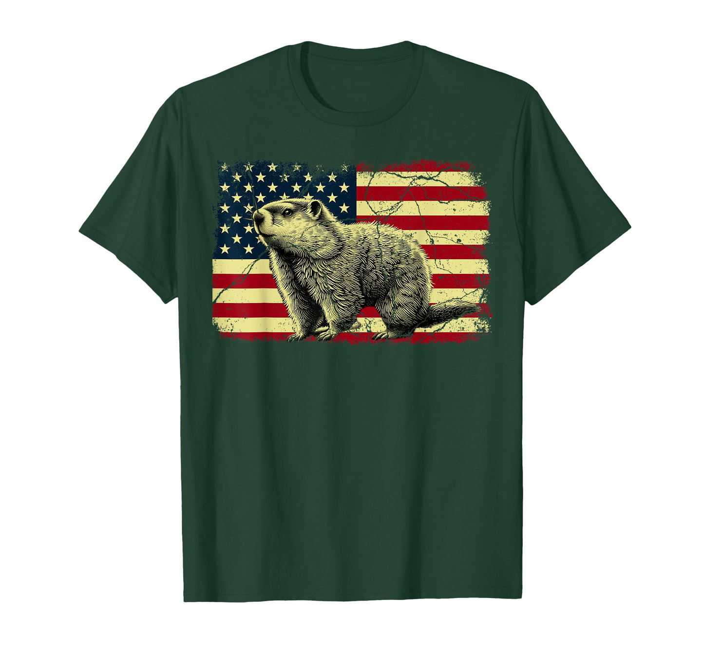Punxsy Phil American Flag Groundhog Day For Men Women T-Shirt