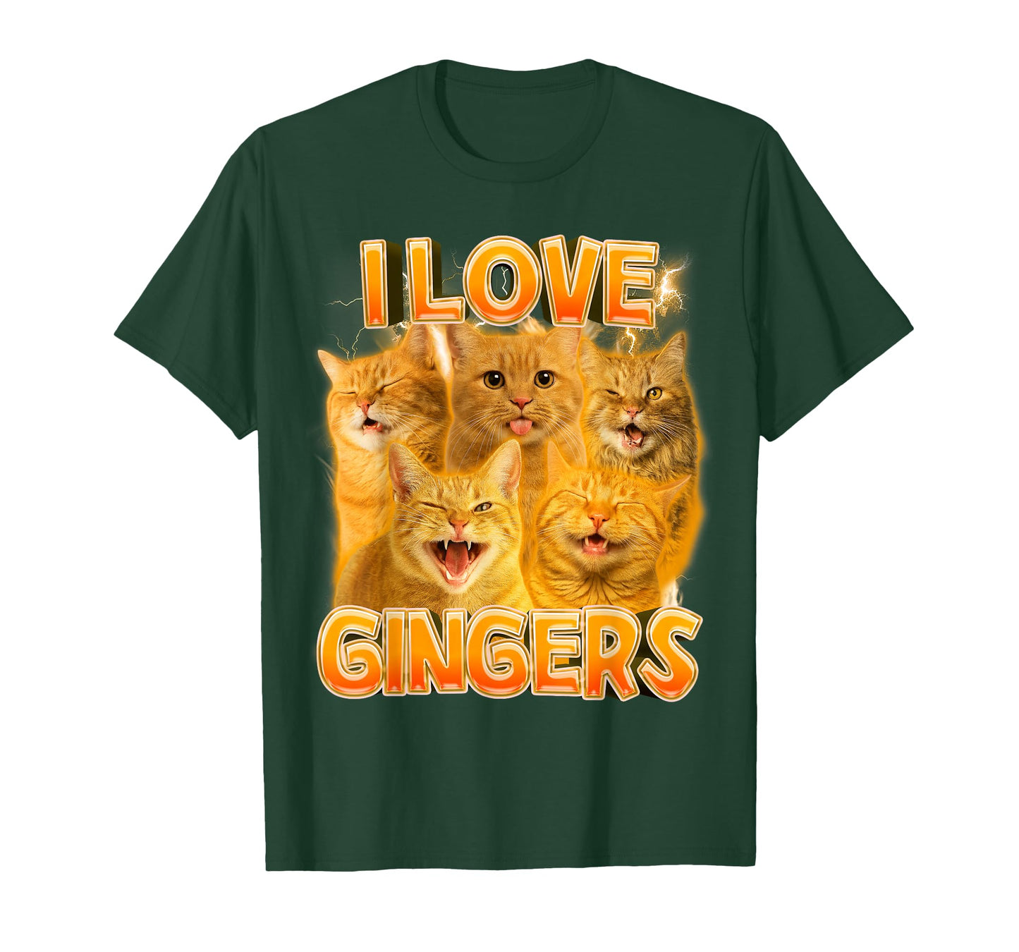 Ginger Cat Lover Cat Mom Cat Person Funny I Love Gingers T-Shirt