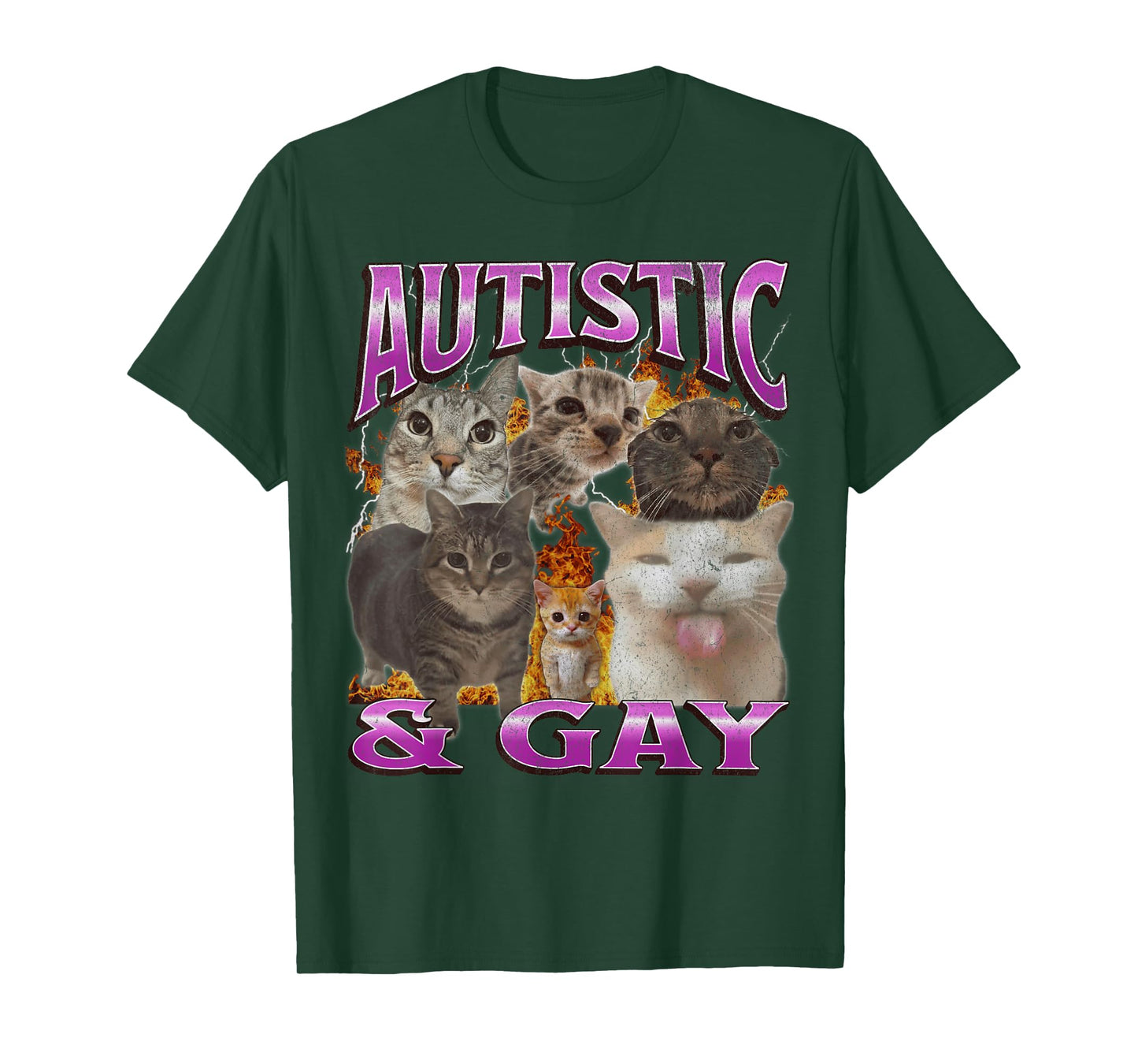 Autistic and Gay Funny Cat Meme Bootleg Graphic T-Shirt