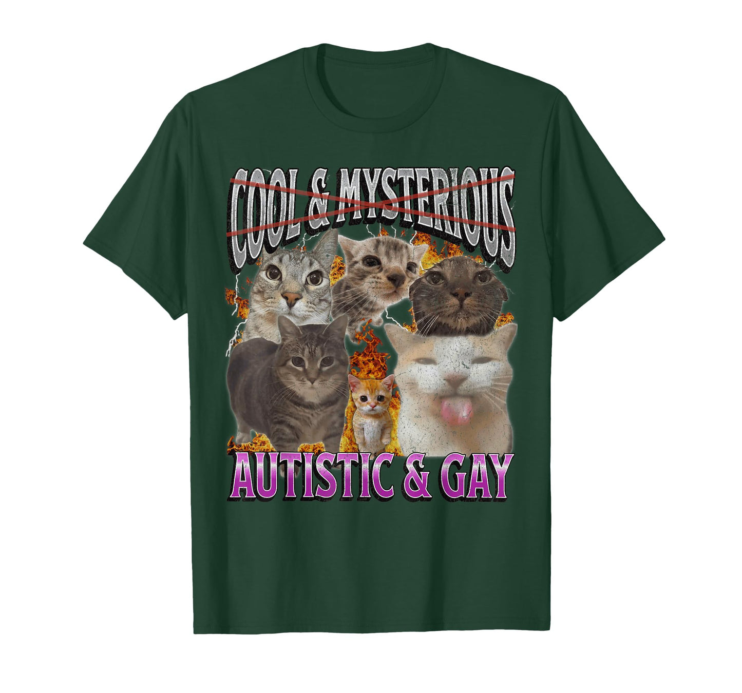 Autistic and Gay Funny Cat Meme Bootleg Graphic T-Shirt