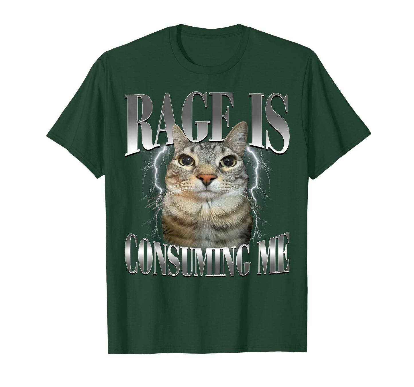 Rage is Consuming Me Silly Staring Cat Meme Humor Cat Funny T-Shirt
