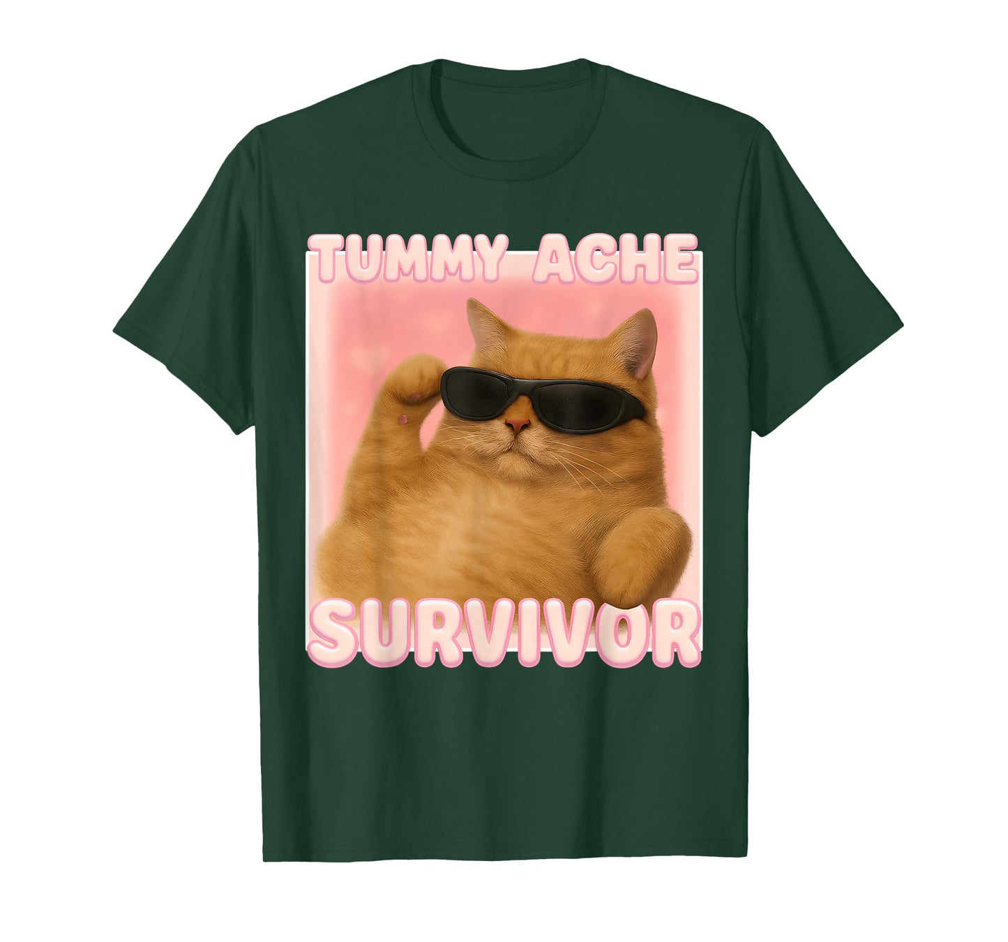Cat Meme Tee Tummy Ache Survivor Ironic Internet Cats Jokes T-Shirt