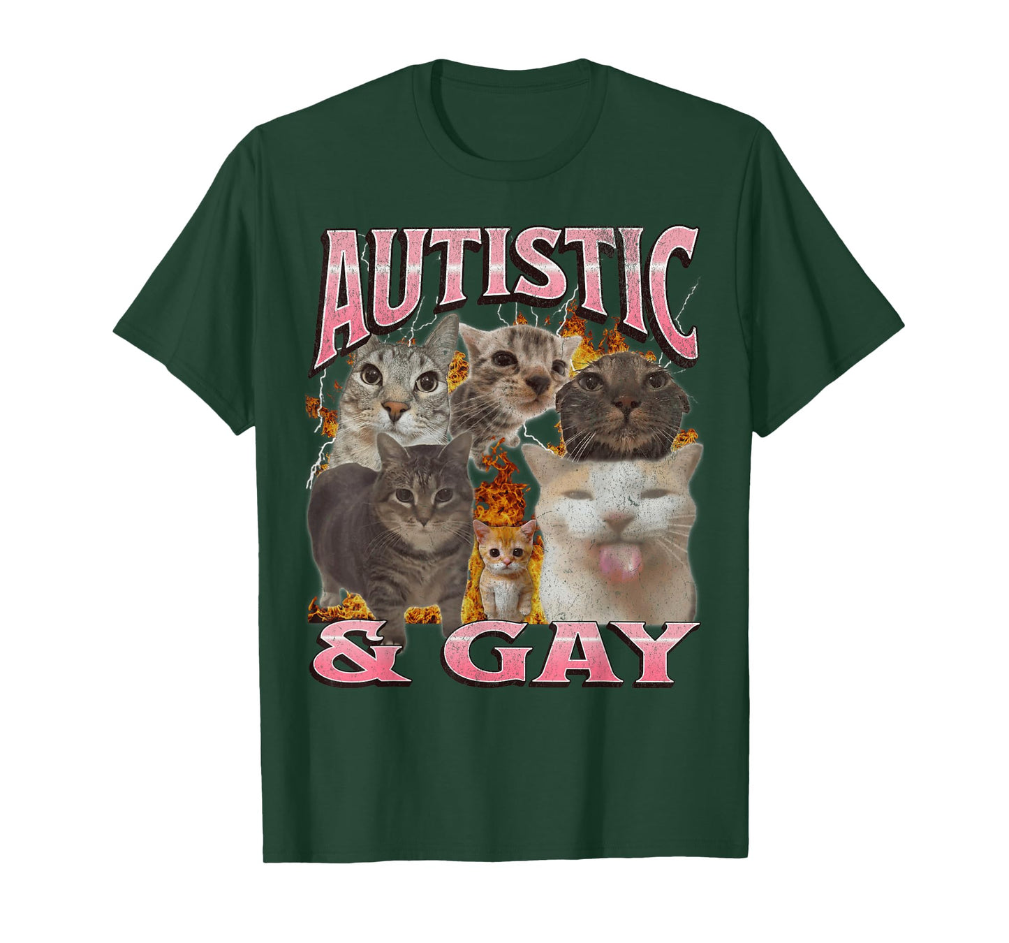 Autistic and Gay Funny Cat Meme Bootleg Graphic T-Shirt
