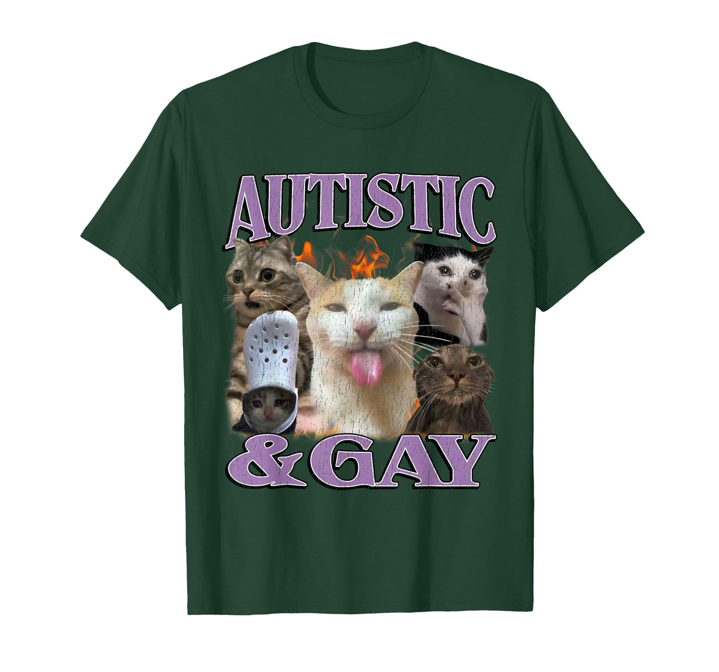 Autistic and Gay Funny Offensive Cat Meme Bootleg Men Women T-Shirt