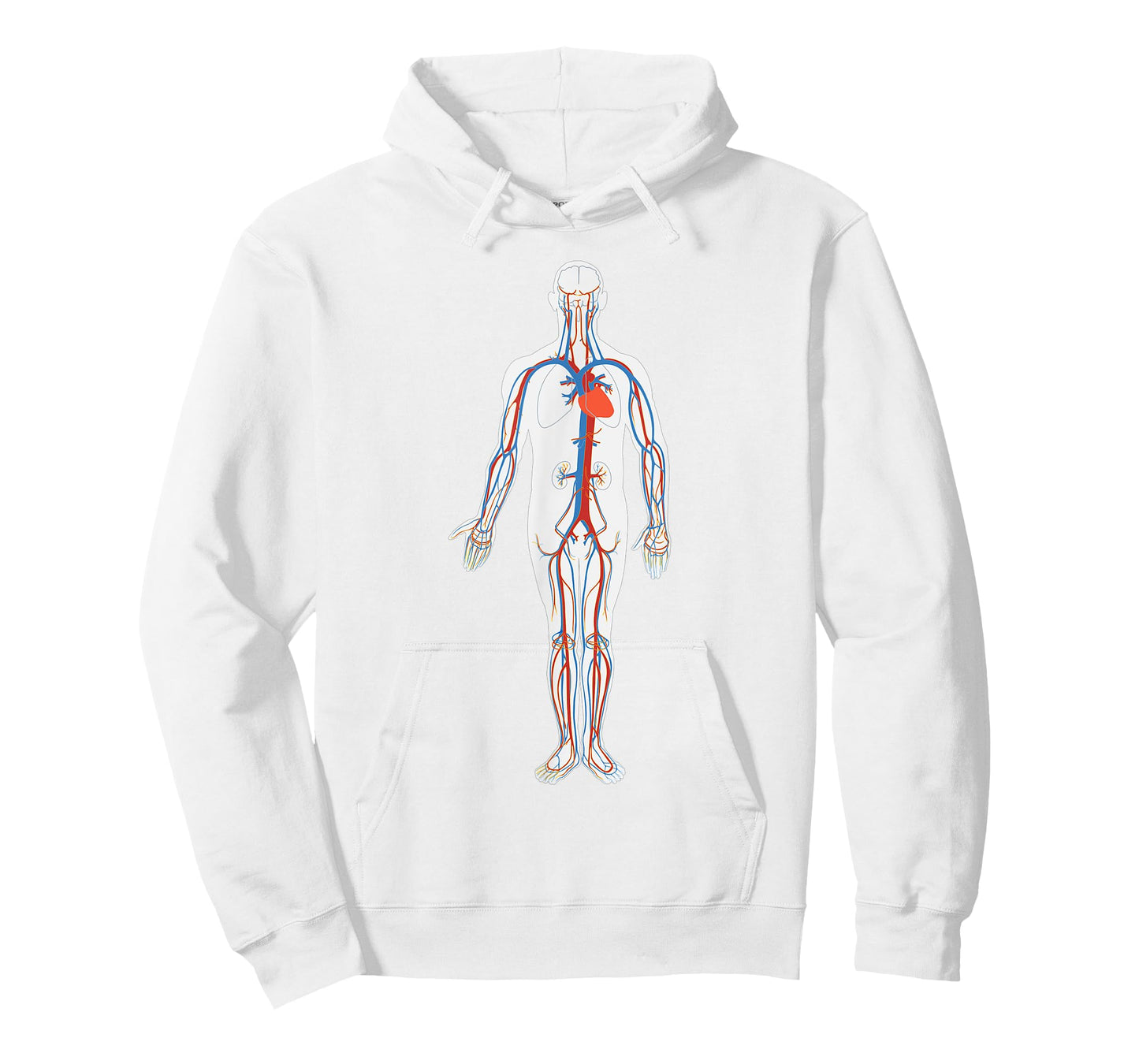 Circulatory System Anatomy Chart Arteries Veins T-Shirt