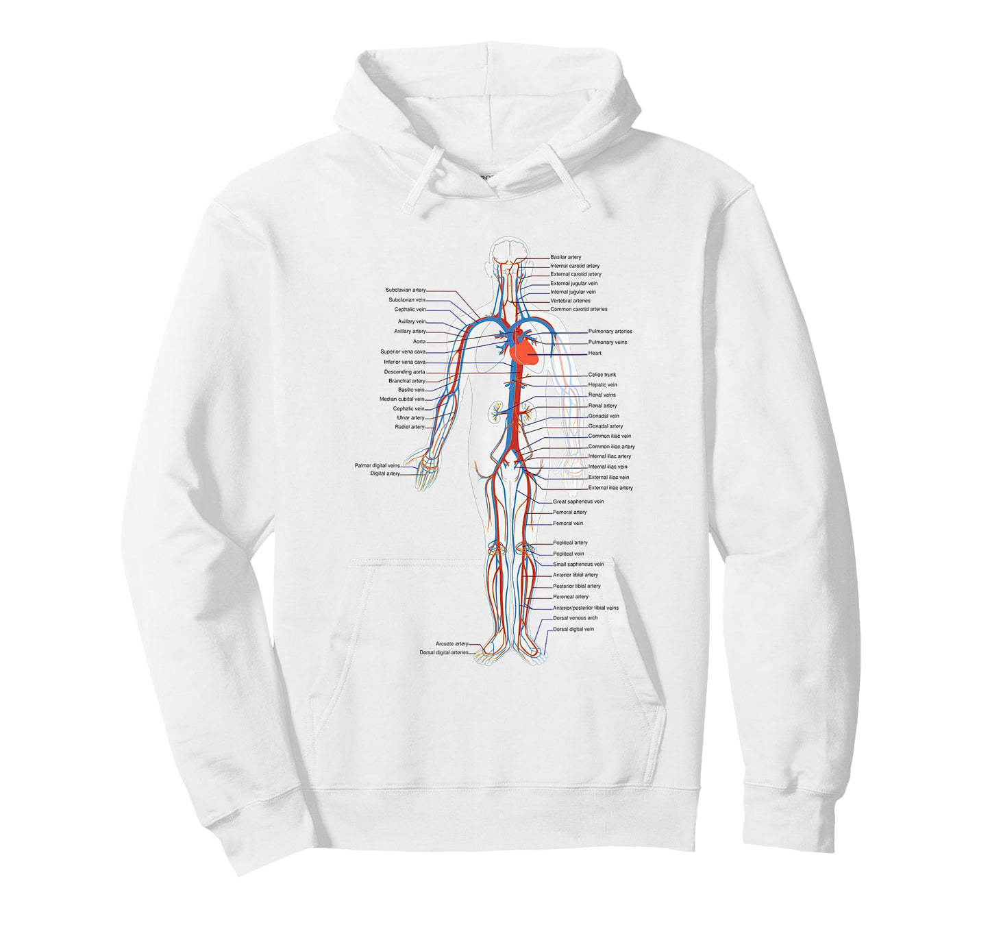 Circulatory System Anatomy Chart Arteries Veins T-Shirt