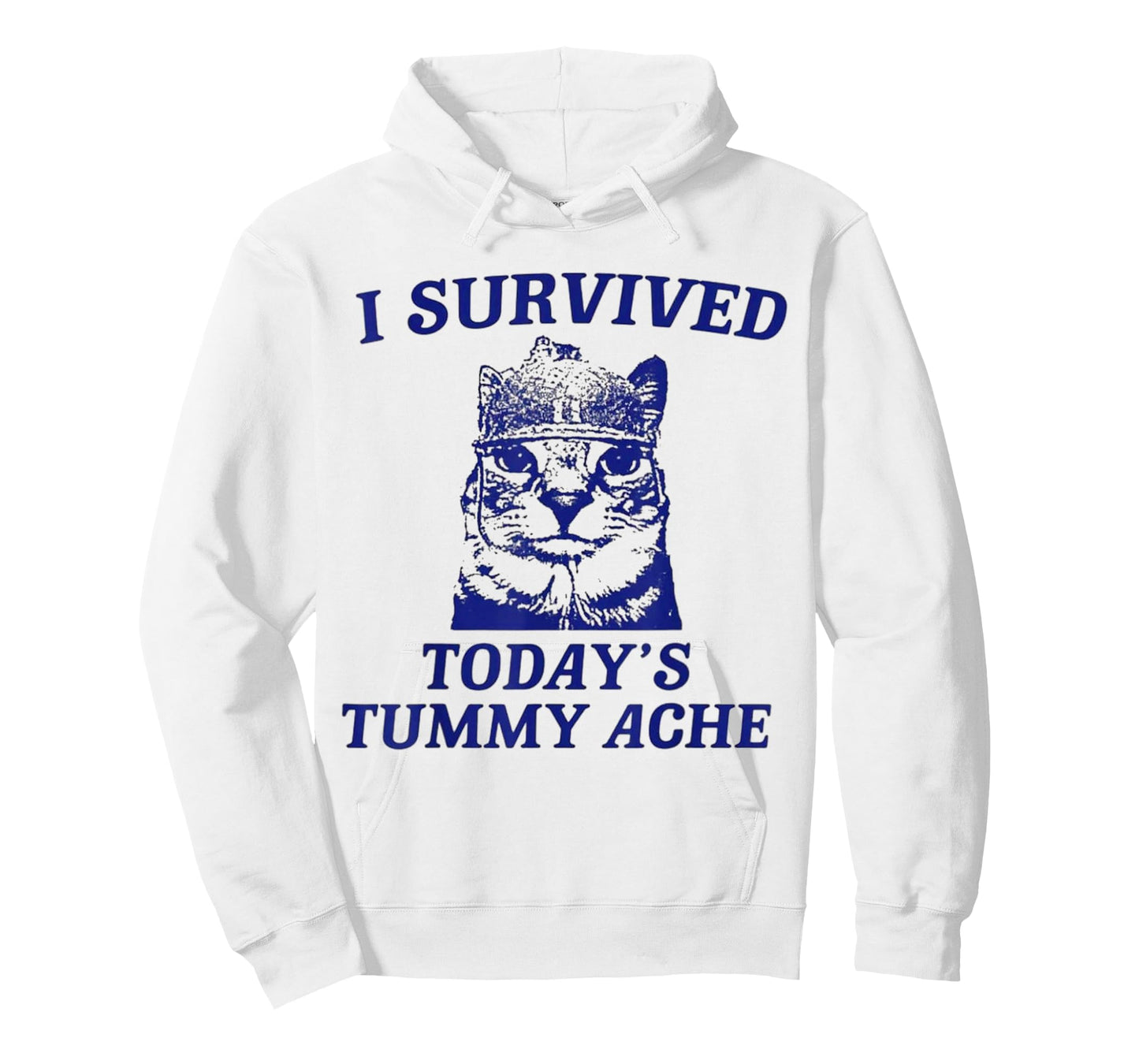 I survived today's tummy ache Cat T-Shirt