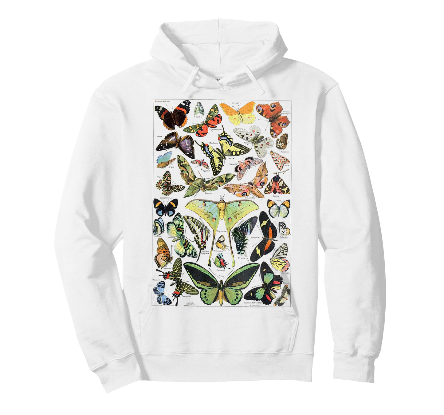 Vintage Butterflies Butterfly Collection scientific T-Shirt