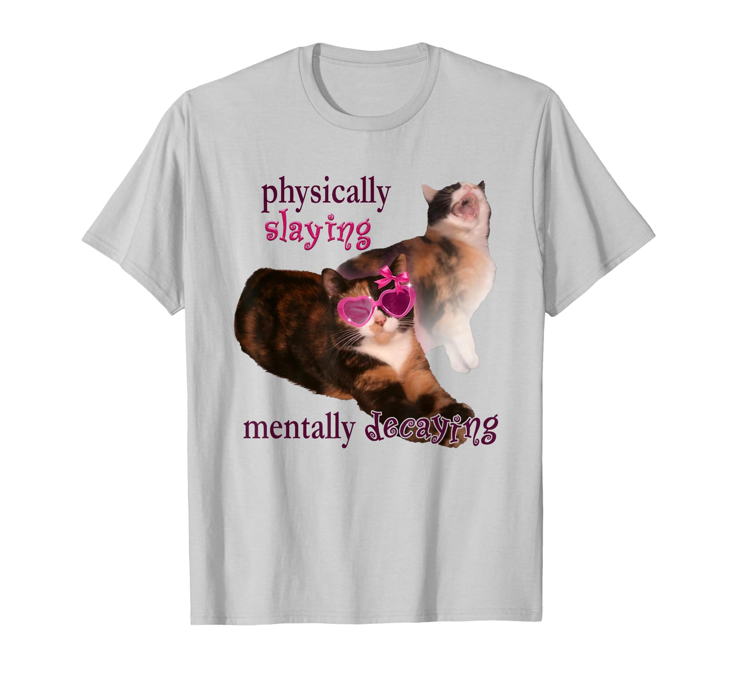 Cat Meme Physically Slaying Mentally Decaying T-Shirt