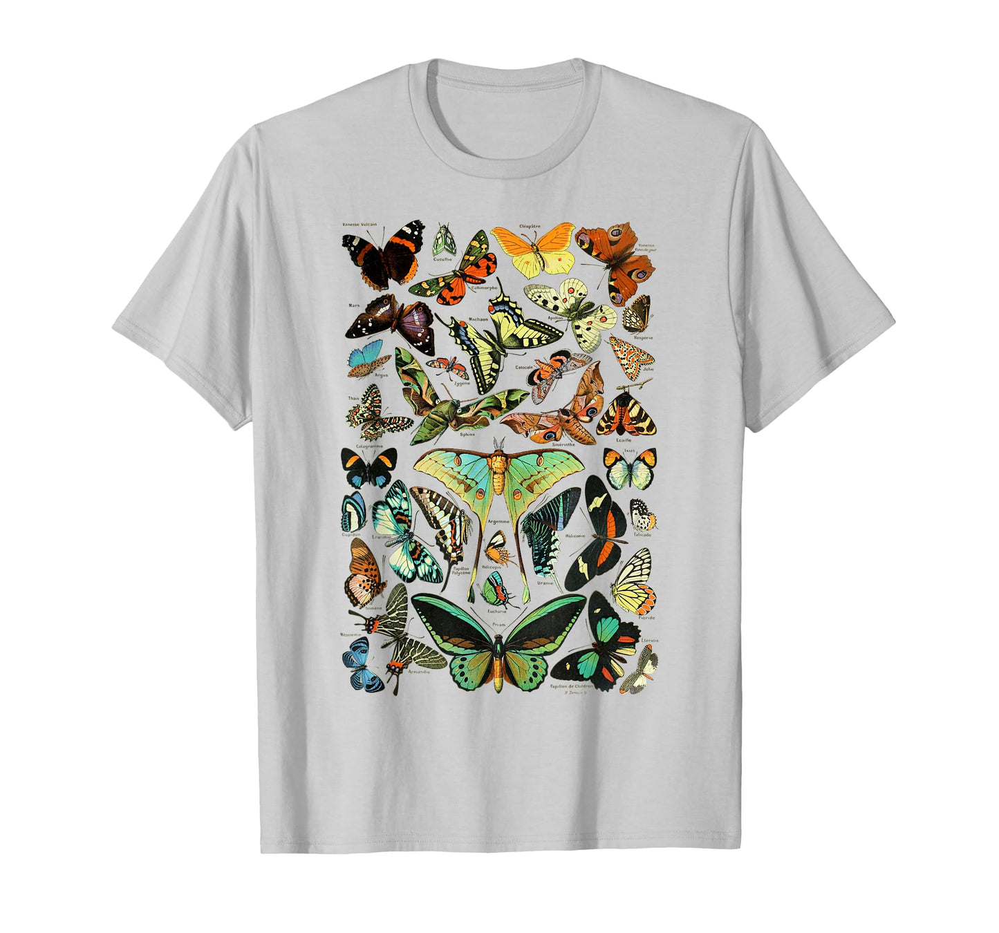 Butterflies Butterfly Collection Scientific T-Shirt