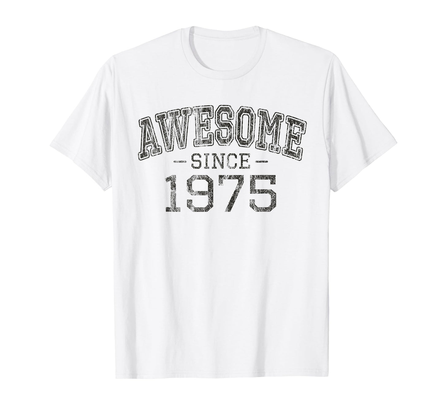 Awesome Since 1975 Vintage Style Born in 1975 Birthday Gift T-Shirt
