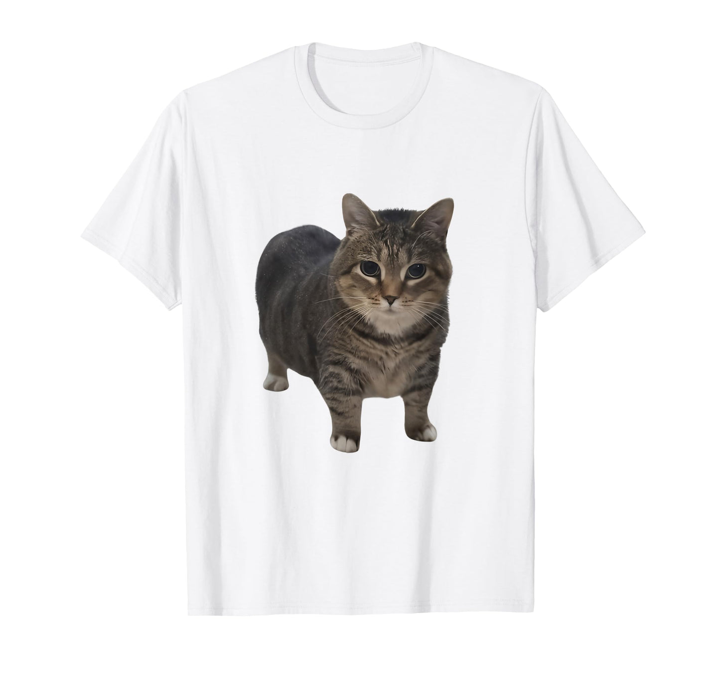 Funny oiia oiia Spinning Cat Meme Oiiai Oiiiai brainrot Men Women Kids T-Shirt