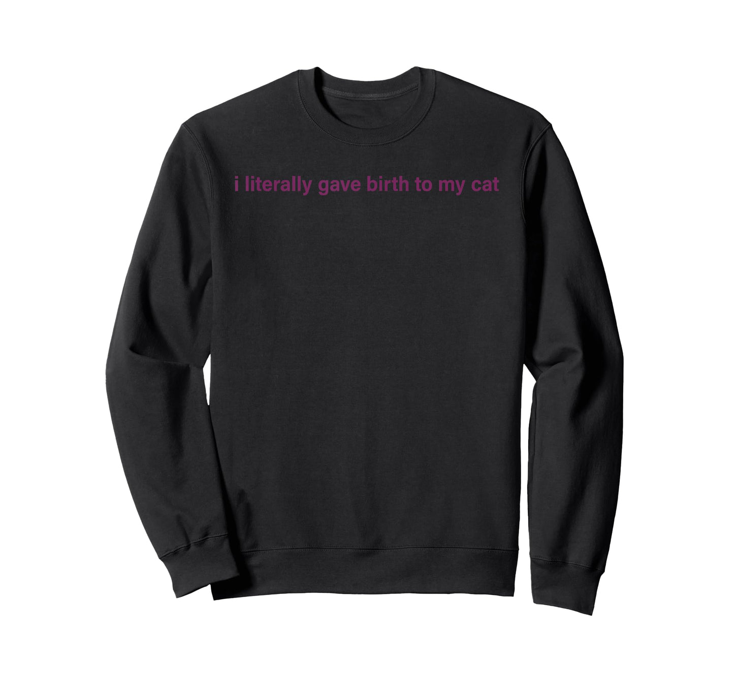 I Literally Gave Birth To My Cat T-Shirt for Men Women