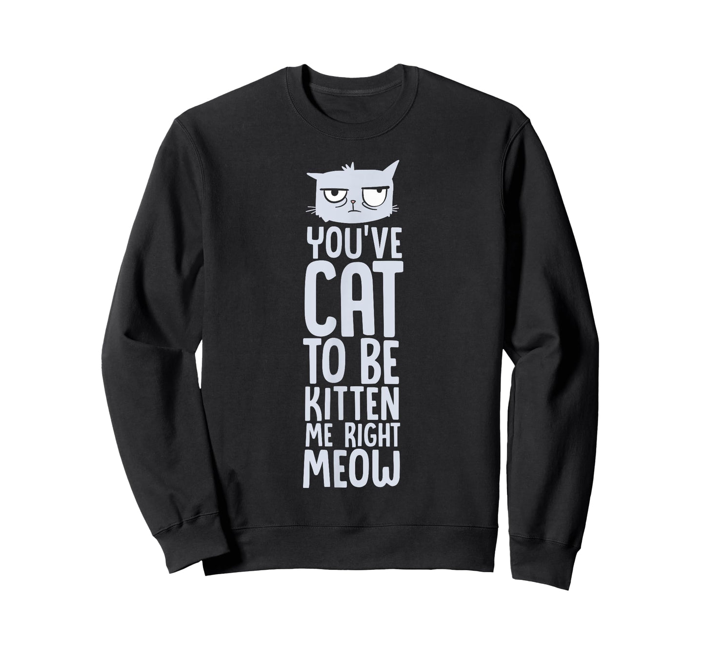 You've Got To Be Kitten Me, Right Meow Funny Cat Pun T-Shirt for Men Women Girls Kids