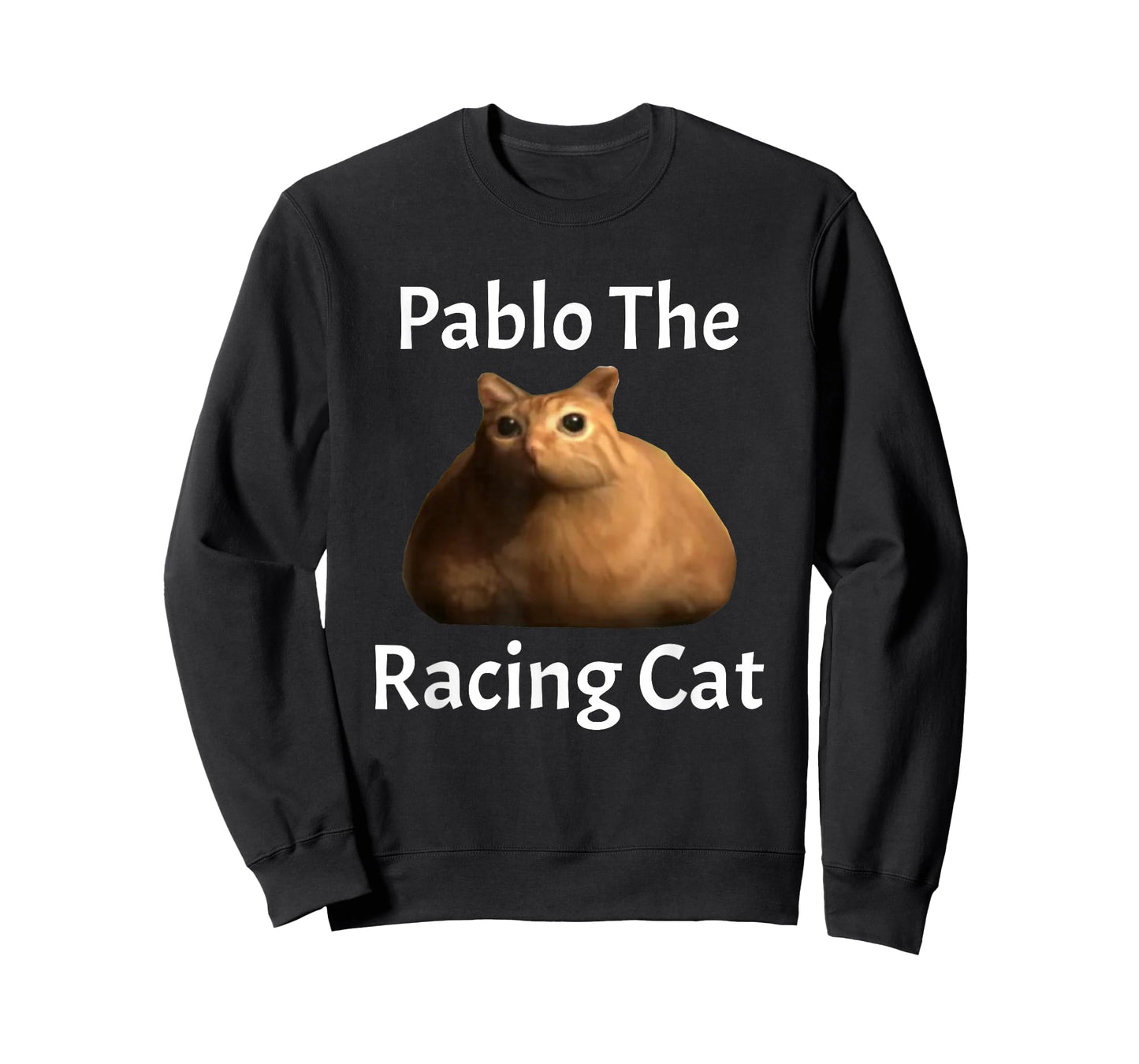 Pablo The Racing Cat T-Shirt, Small, Black