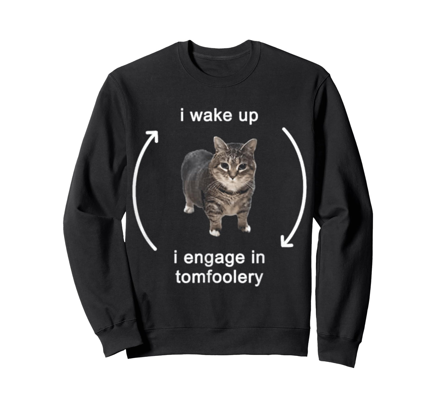 I Wake Up I Engage In Tomfoolery Cat FUNNY MEME T-Shirt for Men Women Kids