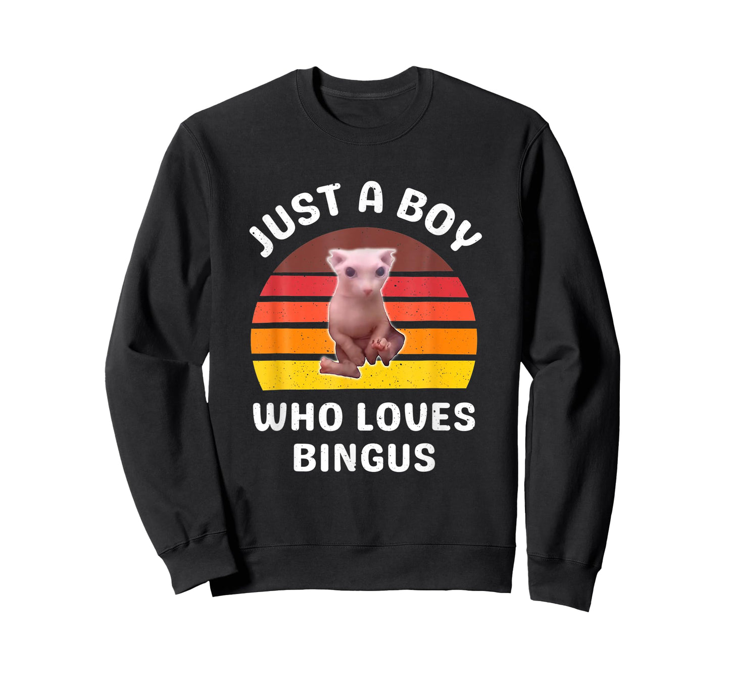 Just A Boy Who Loves Bingus Funny Hairless Sphynx Cat T-Shirt