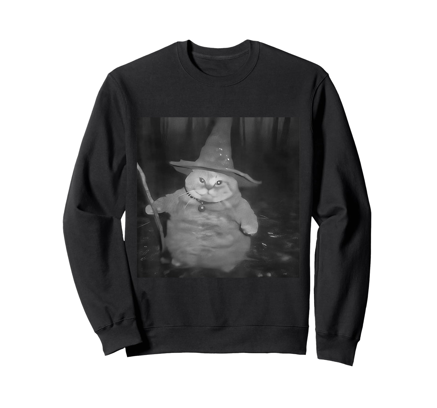Fat Wizard Cat Fat Kitten Wizard Funny Cat Meme Brain Rot T-Shirt