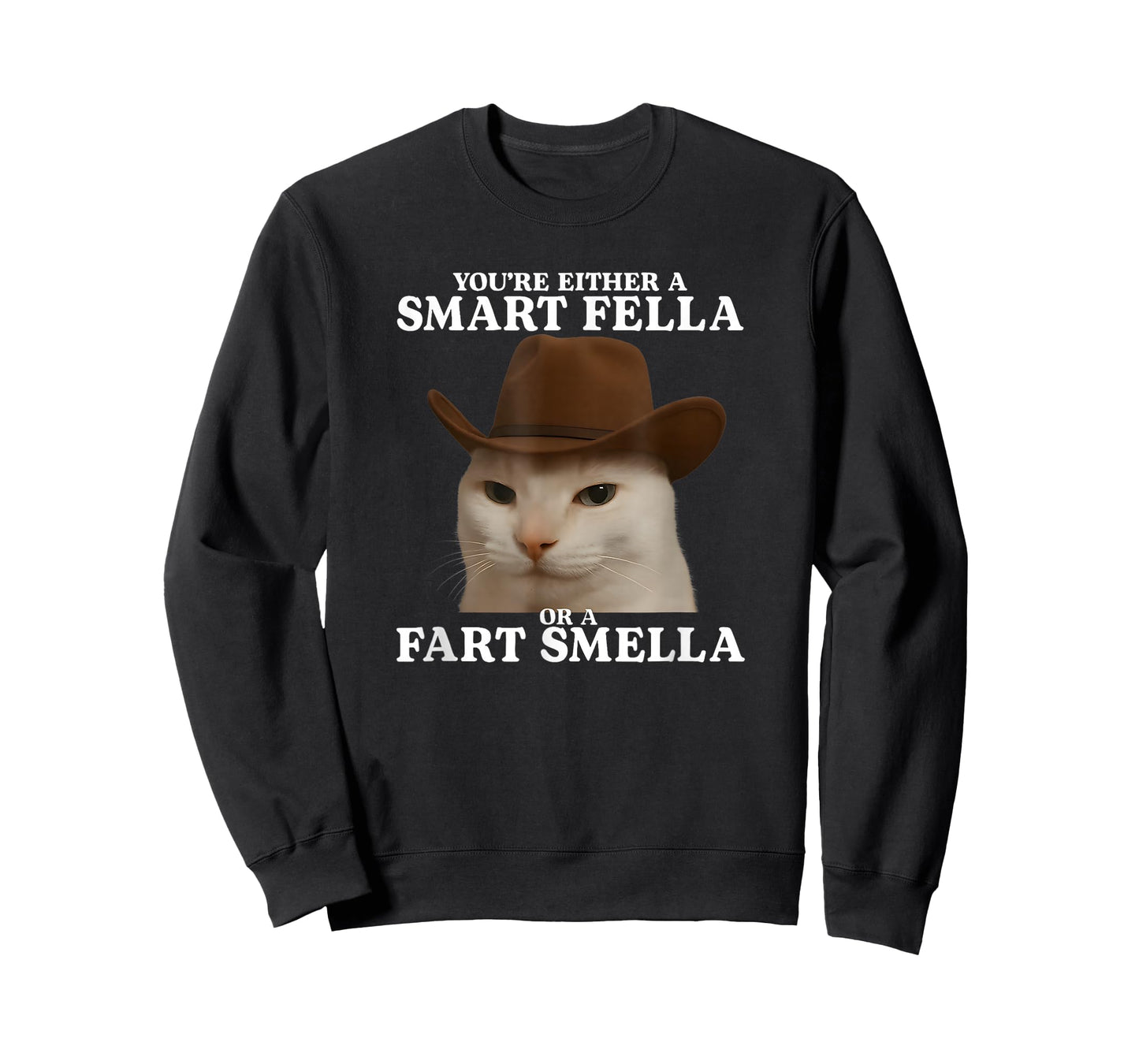 You're Either a Smart Fella or a Fart Smella Funny Cat Meme T-Shirt