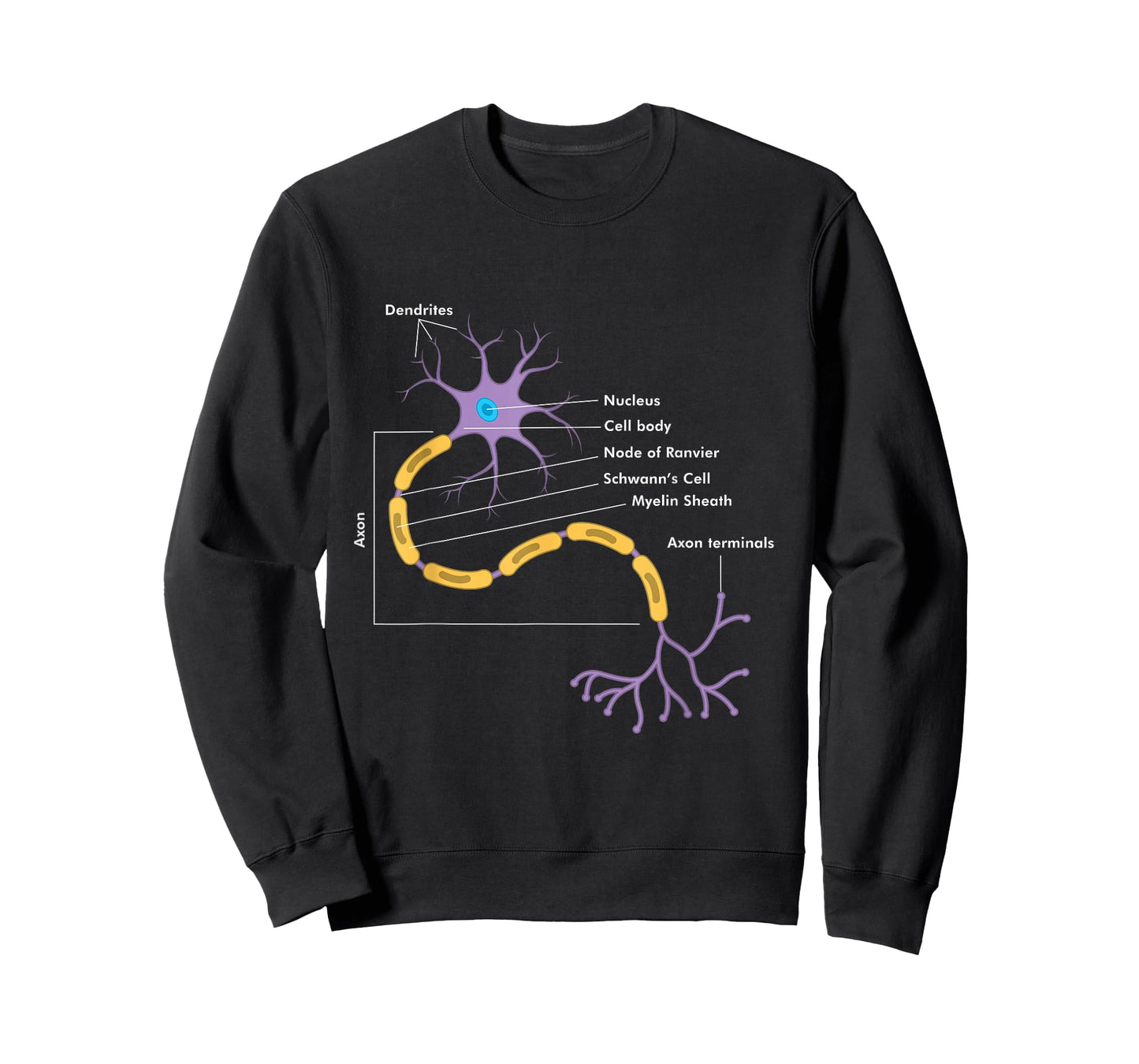 Anatomy Of Neuron Neurologist Gift T-Shirt